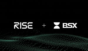 RISE Acquires BSX Labs to Boost Ethereum L2 Orderbooks
